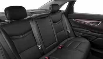 professional car service