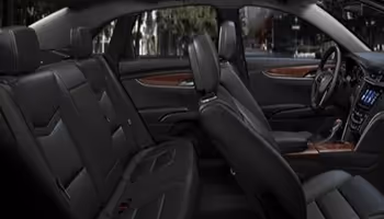 professional car service